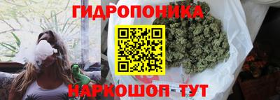 PSILOCYBIN Нальчик