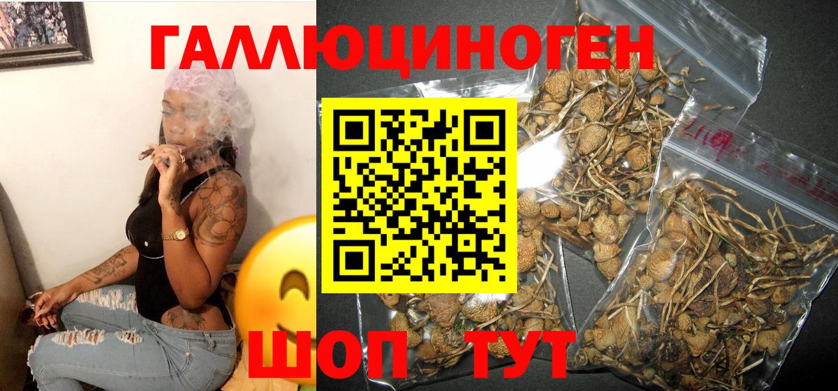 что такое наркотик  Вход с VPN  Псилоцибиновые грибы Psilocybine cubensis  Троицк  Псилоцибиновые грибы Psilocybe 